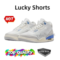 A3