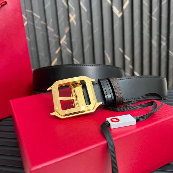 new designer belt fashion classic men'sneedle buckle genuine leather cowhide Versatile for Business and Leisure - Fashion Accessories - rolexwatchok